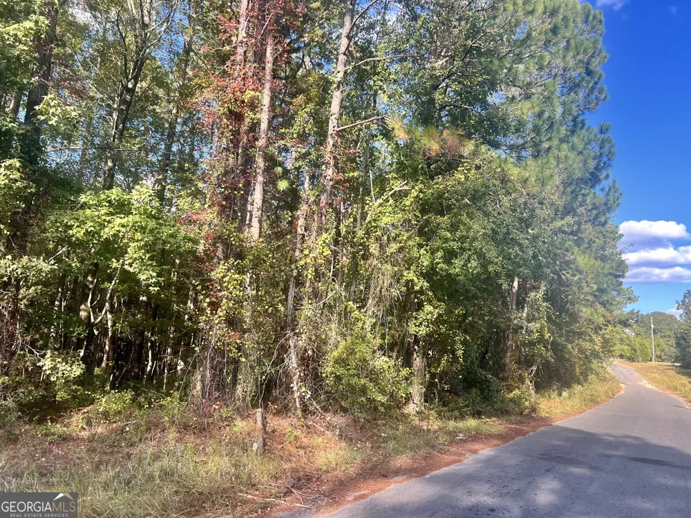 0 Shady Oaks RD Eastman, GA 31023