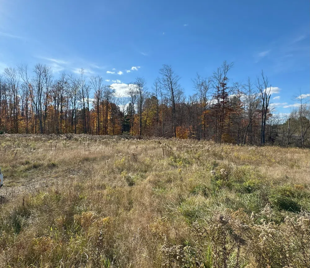 15505 Waldron Way Big Rapids, MI 49307