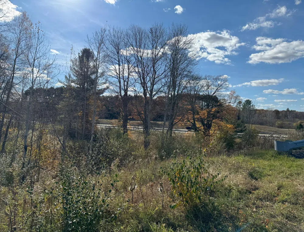 15505 Waldron Way Big Rapids, MI 49307