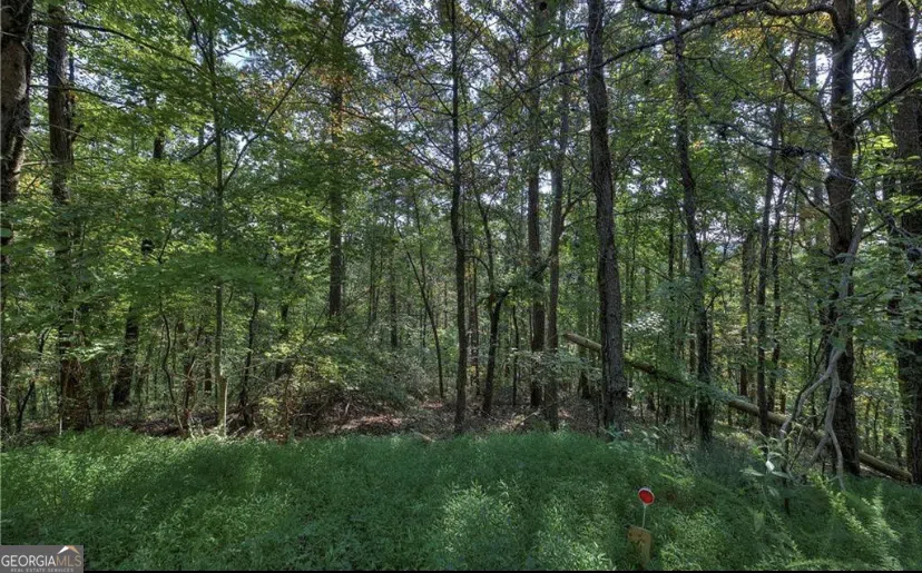 1037 Astro CT Ranger, GA 30734