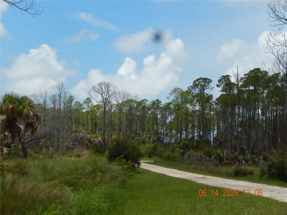 Lot 7 SW 104 STREET Cedar Key, FL 32625
