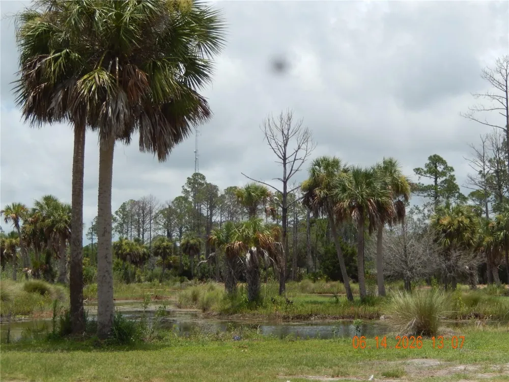 Lot 7 SW 104 STREET Cedar Key, FL 32625