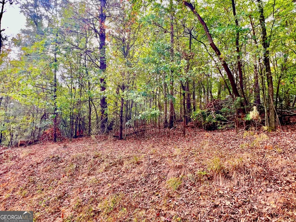 573 Cataula CT Ellijay, GA 30540