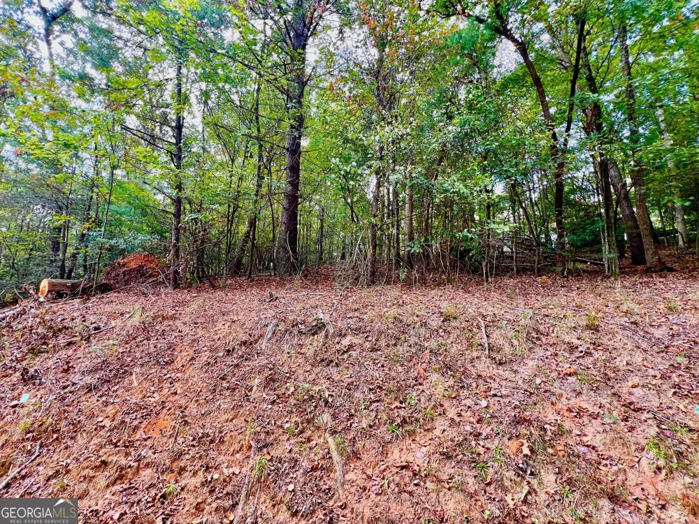 573 Cataula CT Ellijay, GA 30540