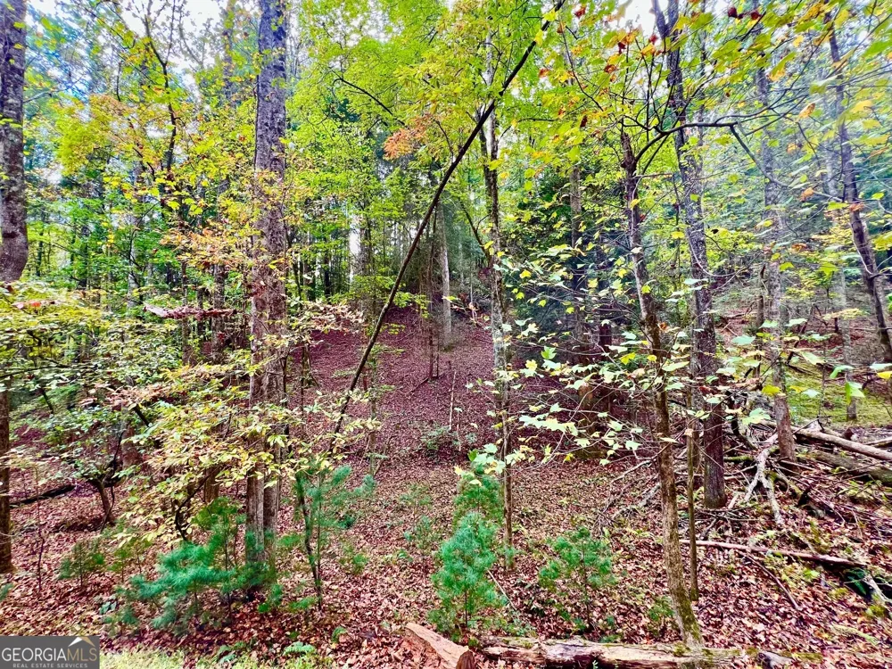573 Cataula CT Ellijay, GA 30540