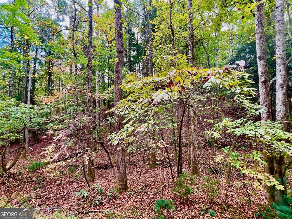 573 Cataula CT Ellijay, GA 30540