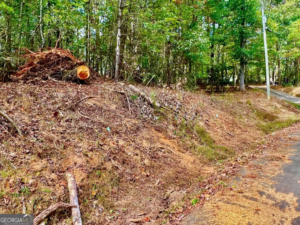 573 Cataula CT Ellijay, GA 30540