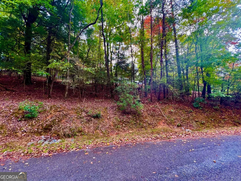 548 N Satsuma CT Ellijay, GA 30540
