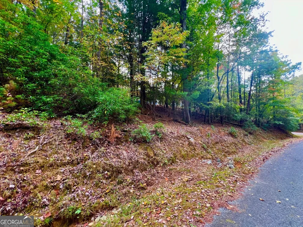 548 N Satsuma CT Ellijay, GA 30540