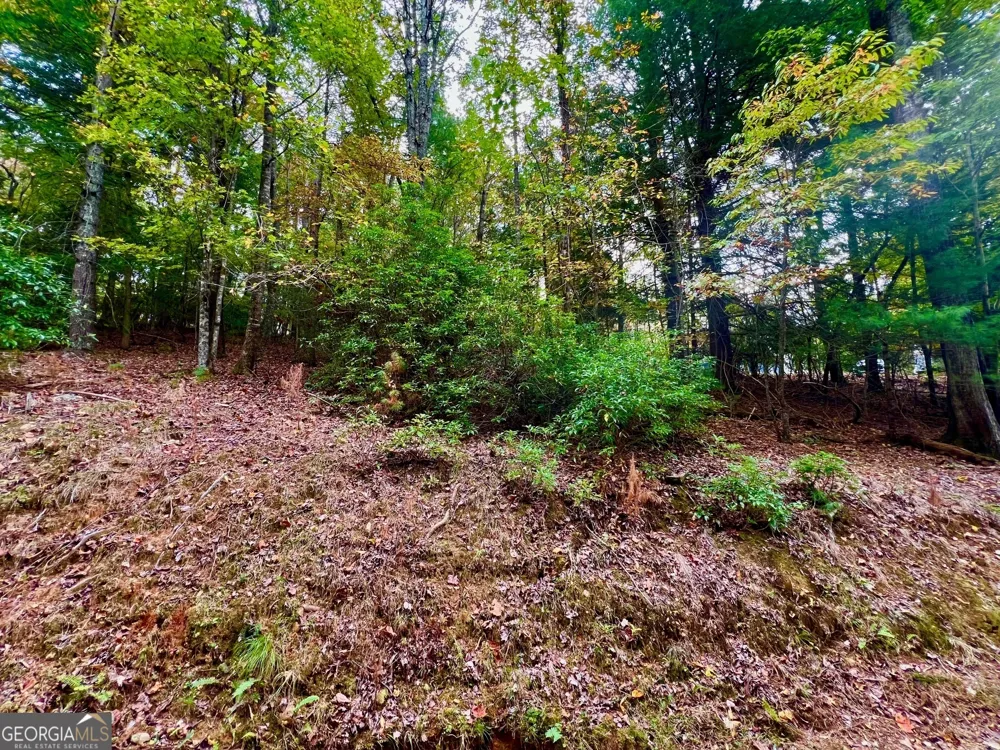 548 N Satsuma CT Ellijay, GA 30540
