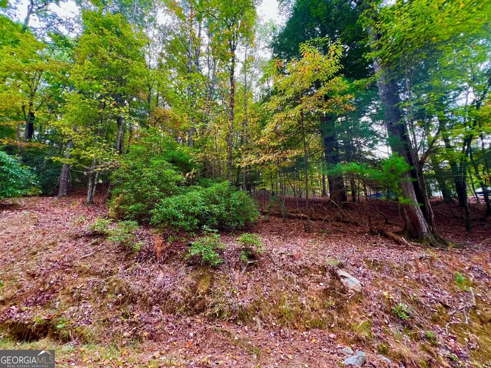 548 N Satsuma CT Ellijay, GA 30540