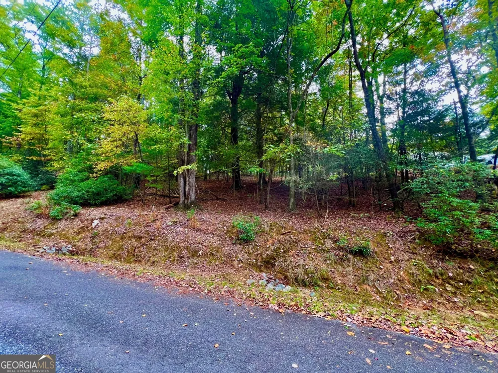 548 N Satsuma CT Ellijay, GA 30540