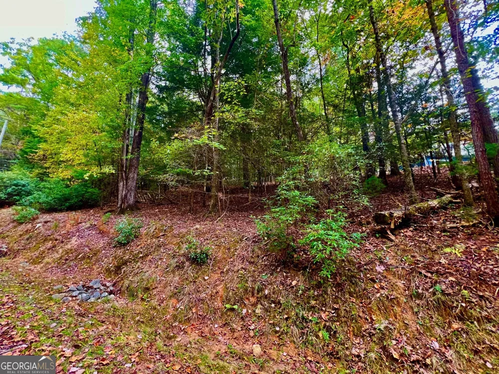 548 N Satsuma CT Ellijay, GA 30540