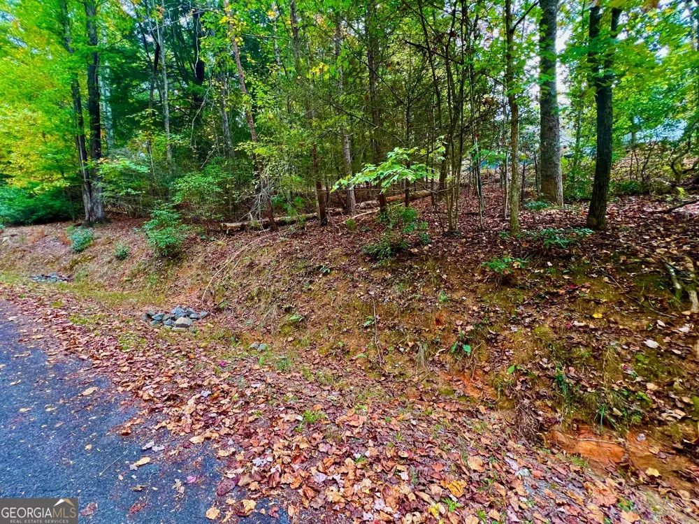 548 N Satsuma CT Ellijay, GA 30540