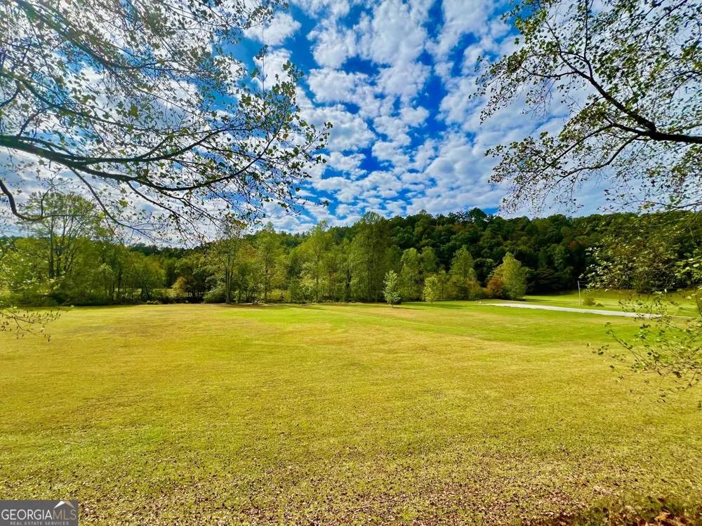 548 N Satsuma CT Ellijay, GA 30540