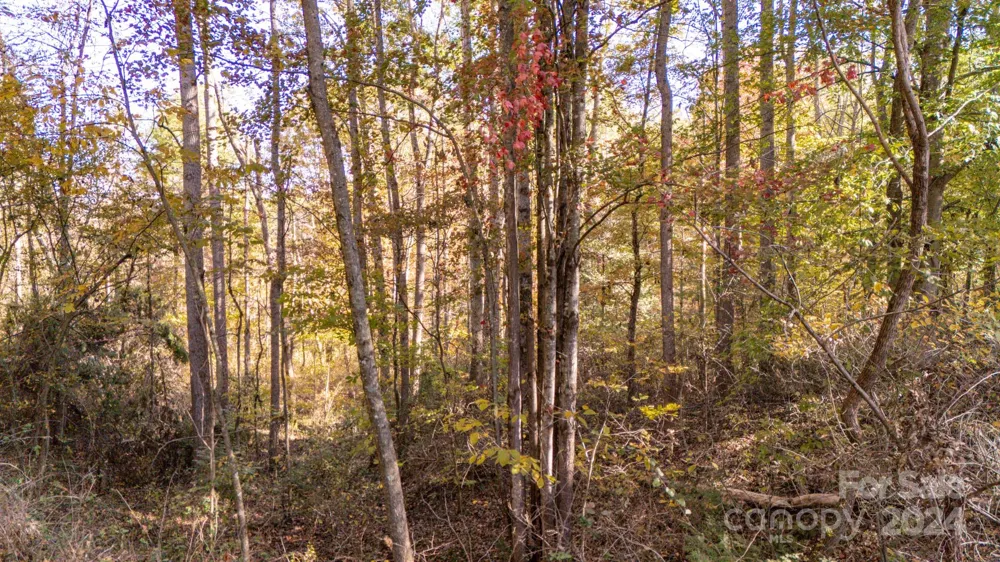 00 Pinnacle Drive #3 Weaverville, NC 28787