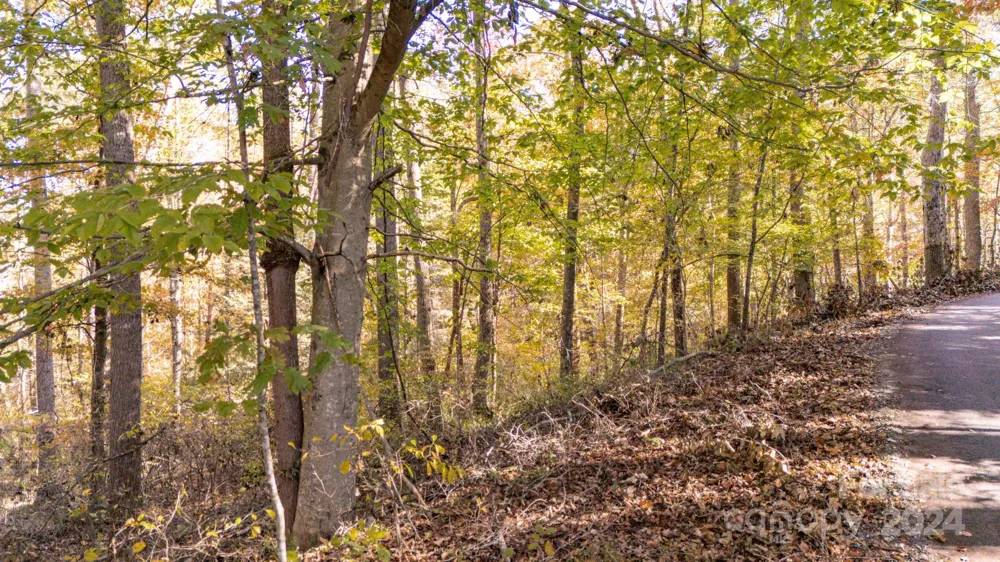 00 Pinnacle Drive #3 Weaverville, NC 28787