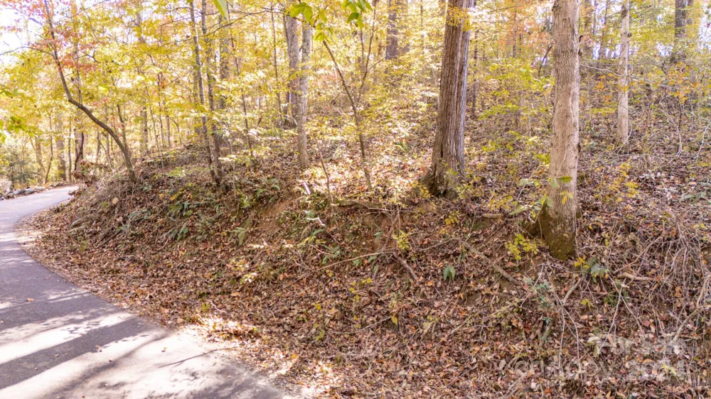 00 Pinnacle Drive #3 Weaverville, NC 28787