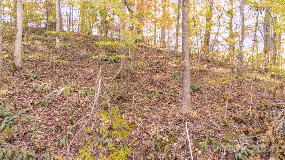 00 Pinnacle Drive #3 Weaverville, NC 28787