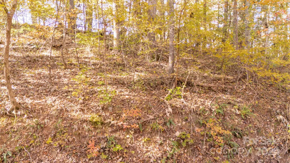 00 Pinnacle Drive #3 Weaverville, NC 28787