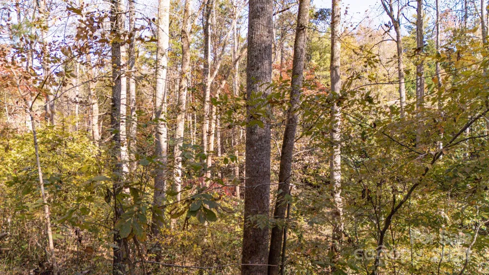 00 Pinnacle Drive #3 Weaverville, NC 28787