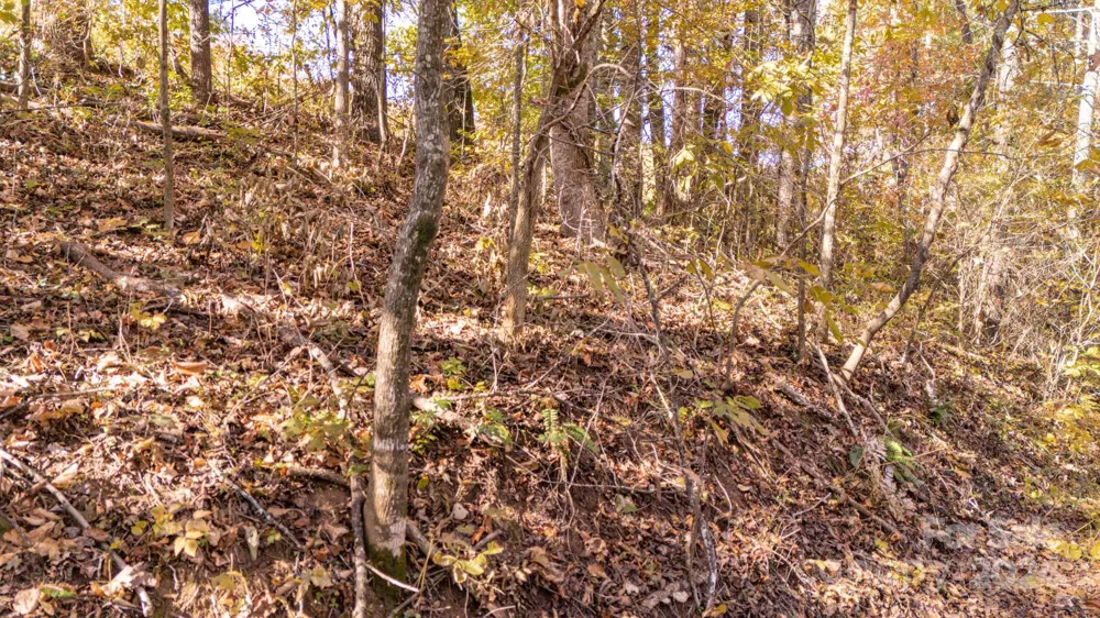 00 Pinnacle Drive #3 Weaverville, NC 28787