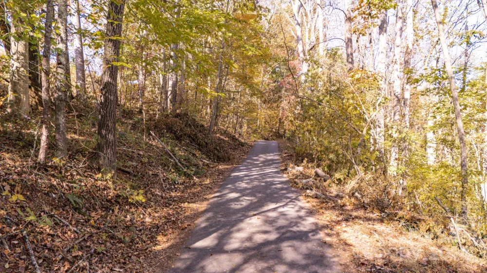 00 Pinnacle Drive #3 Weaverville, NC 28787