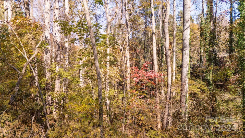 00 Pinnacle Drive #3 Weaverville, NC 28787