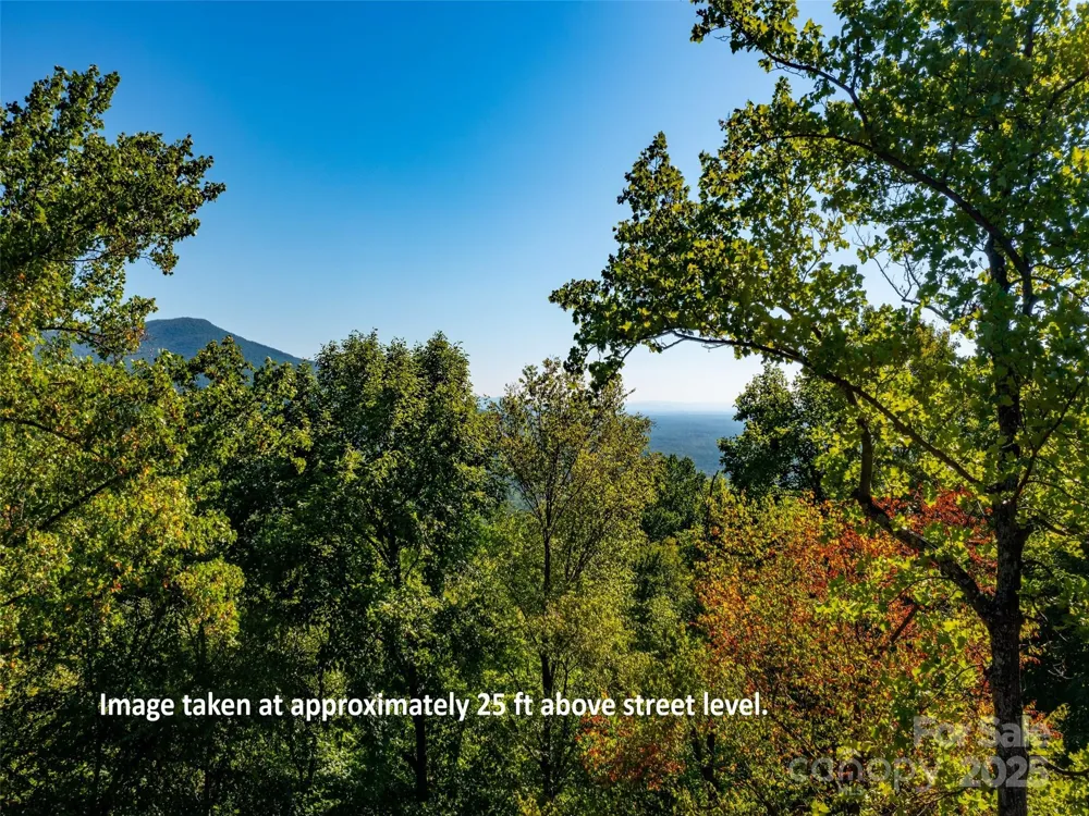 2140 Harm Creek Loop Mill Spring, NC 28756