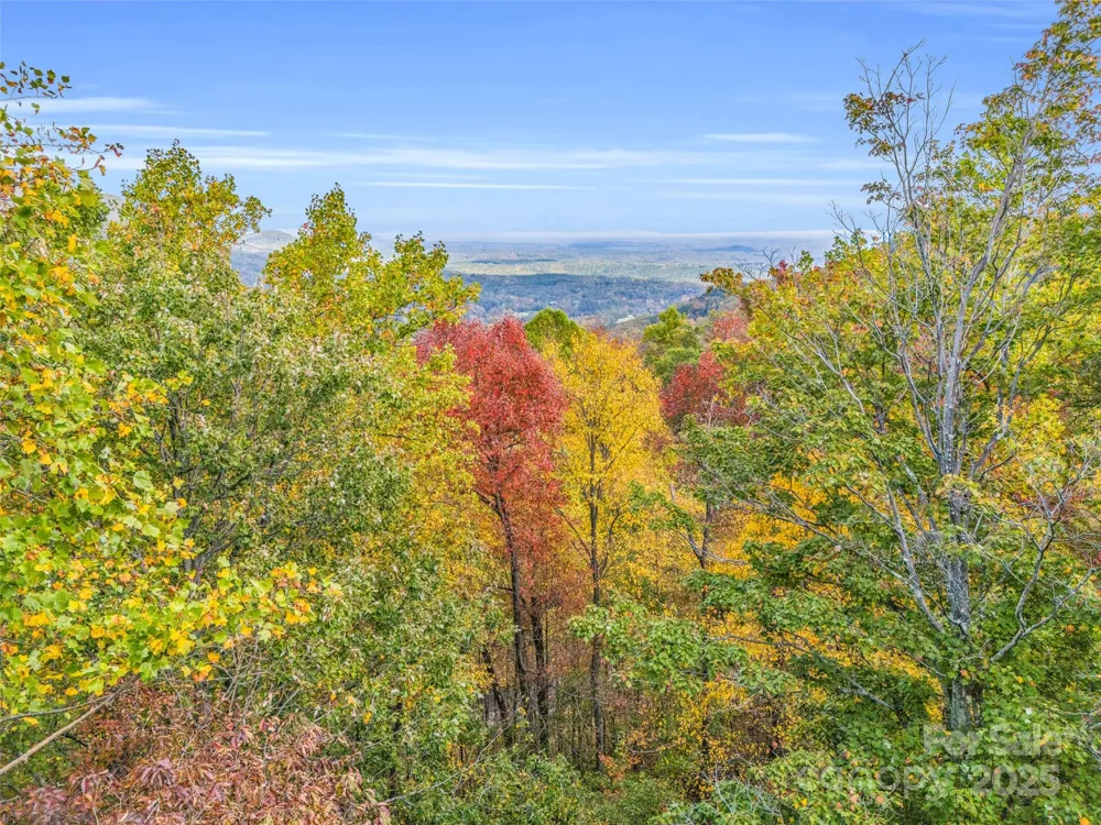 2140 Harm Creek Loop Mill Spring, NC 28756