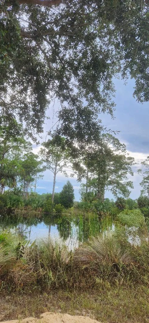 Lot 8 SW 104 STREET Cedar Key, FL 32625