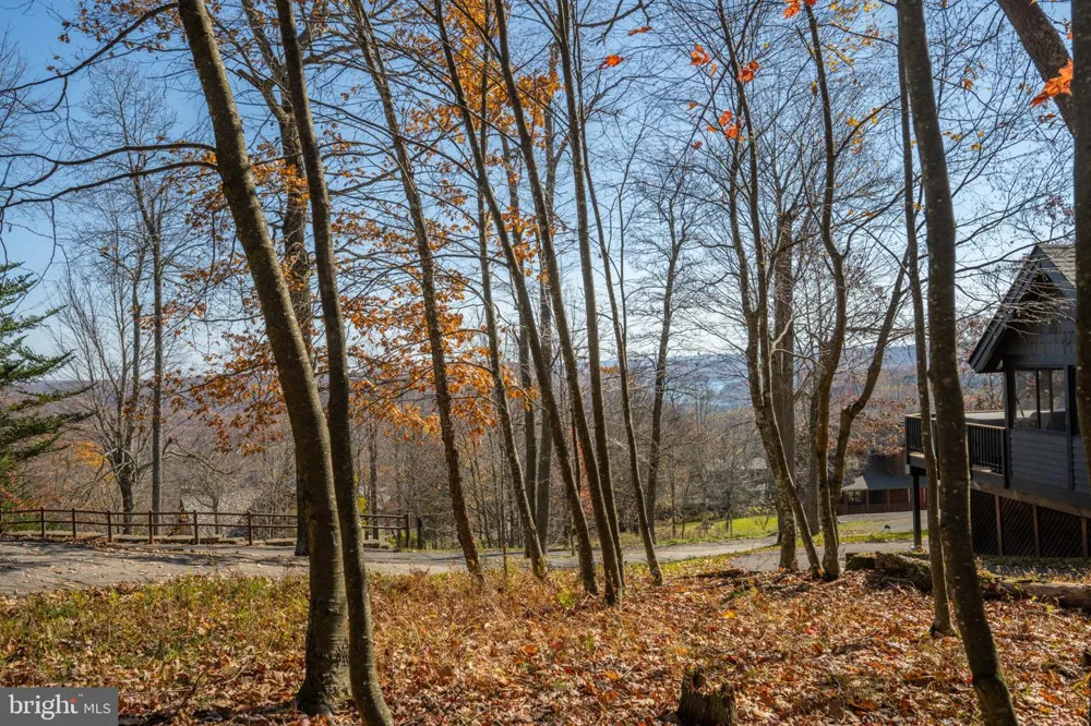 23 SNOWSHOE COURT Mc Henry, MD 21541