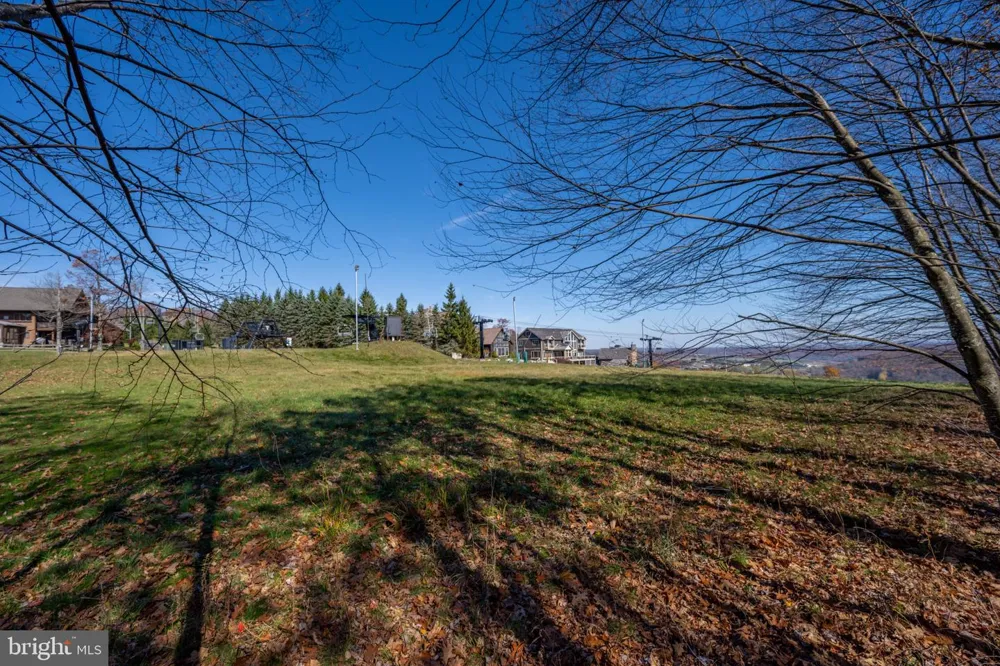 23 SNOWSHOE COURT Mc Henry, MD 21541