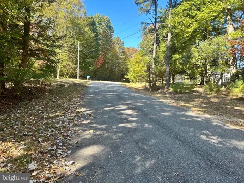 BISHOP DRIVE