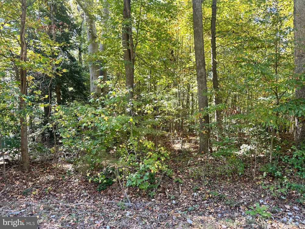 BISHOP DRIVE Montross, VA 22520