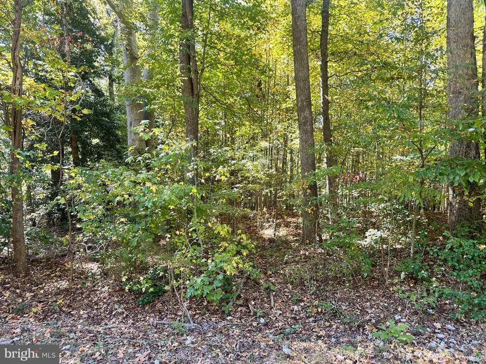 BISHOP DRIVE Montross, VA 22520