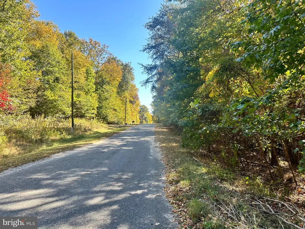 BISHOP DRIVE Montross, VA 22520