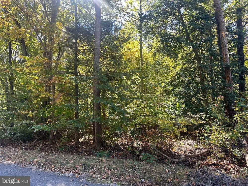BISHOP DRIVE Montross, VA 22520