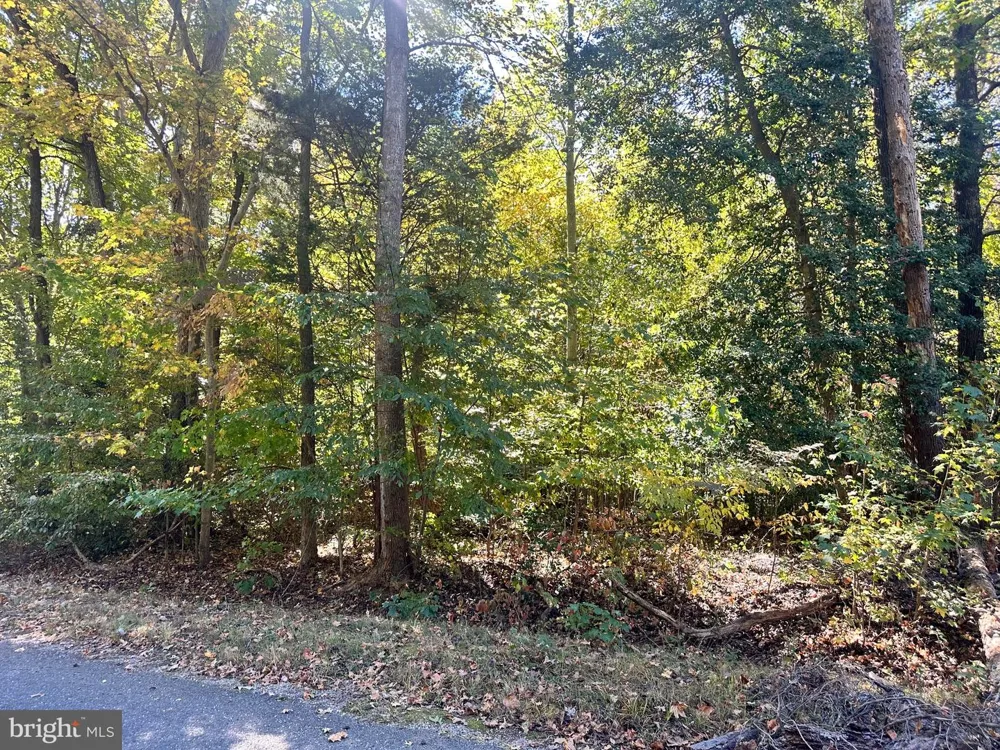 BISHOP DRIVE Montross, VA 22520
