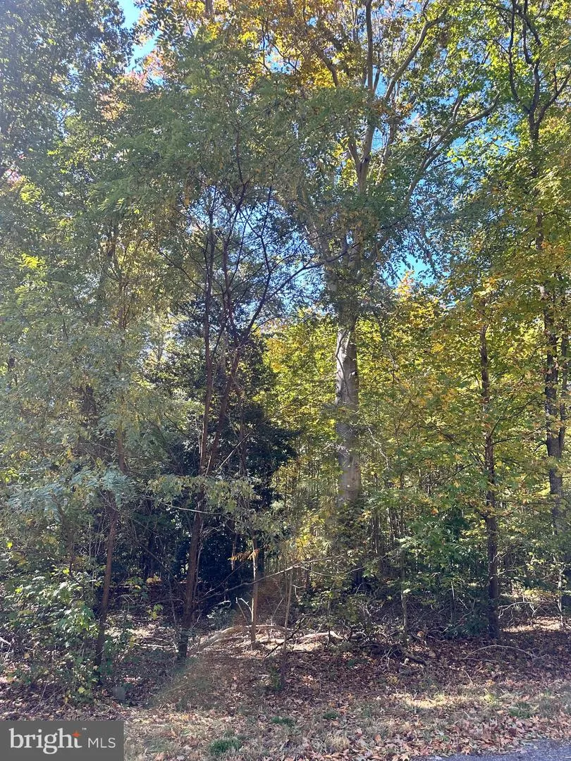 BISHOP DRIVE Montross, VA 22520