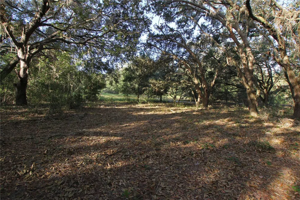 0 PATRICIA DRIVE Bartow, FL 33830