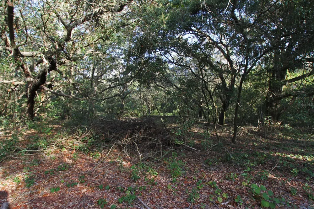 0 PATRICIA DRIVE Bartow, FL 33830