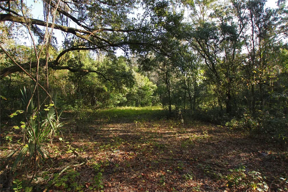 0 PATRICIA DRIVE Bartow, FL 33830