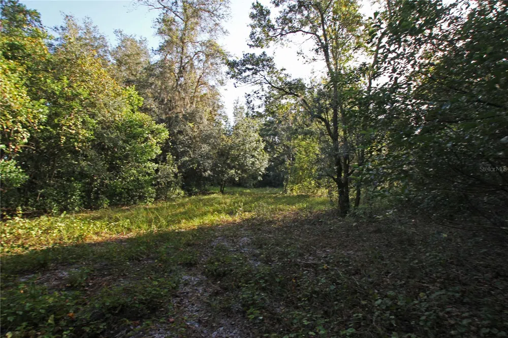 0 PATRICIA DRIVE Bartow, FL 33830