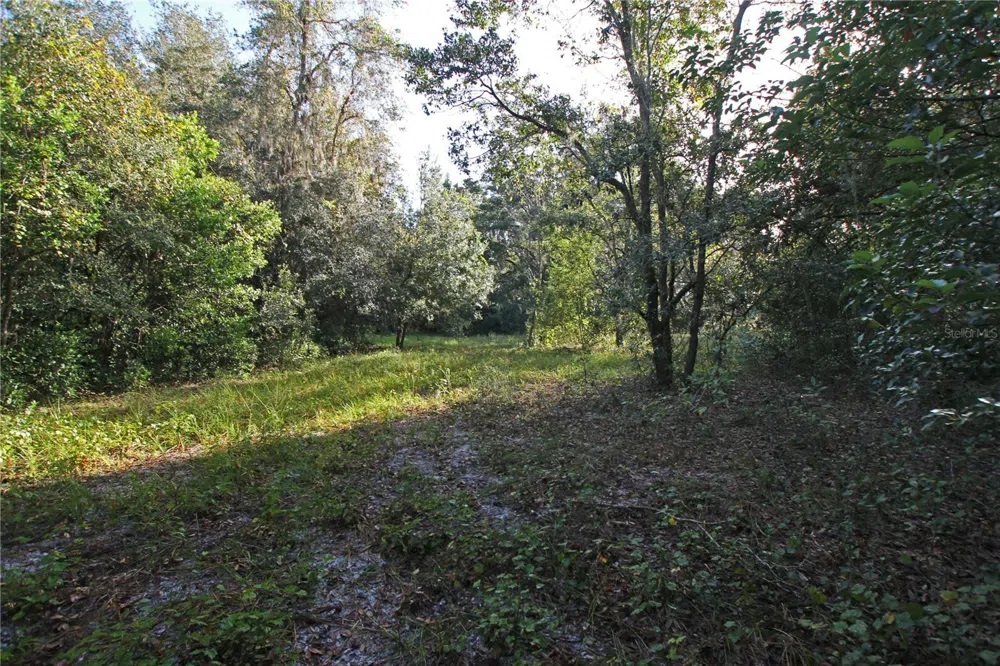 0 PATRICIA DRIVE Bartow, FL 33830