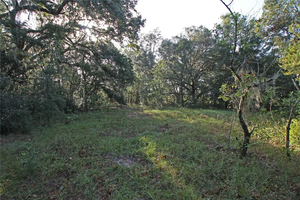 0 PATRICIA DRIVE Bartow, FL 33830