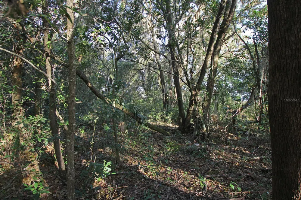 0 PATRICIA DRIVE Bartow, FL 33830