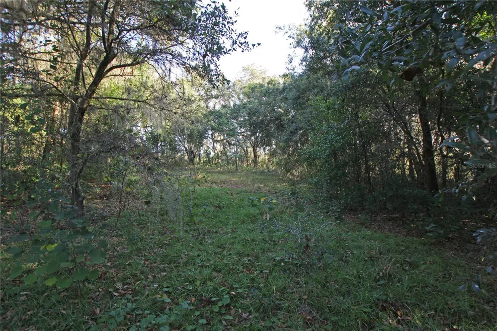 0 PATRICIA DRIVE Bartow, FL 33830