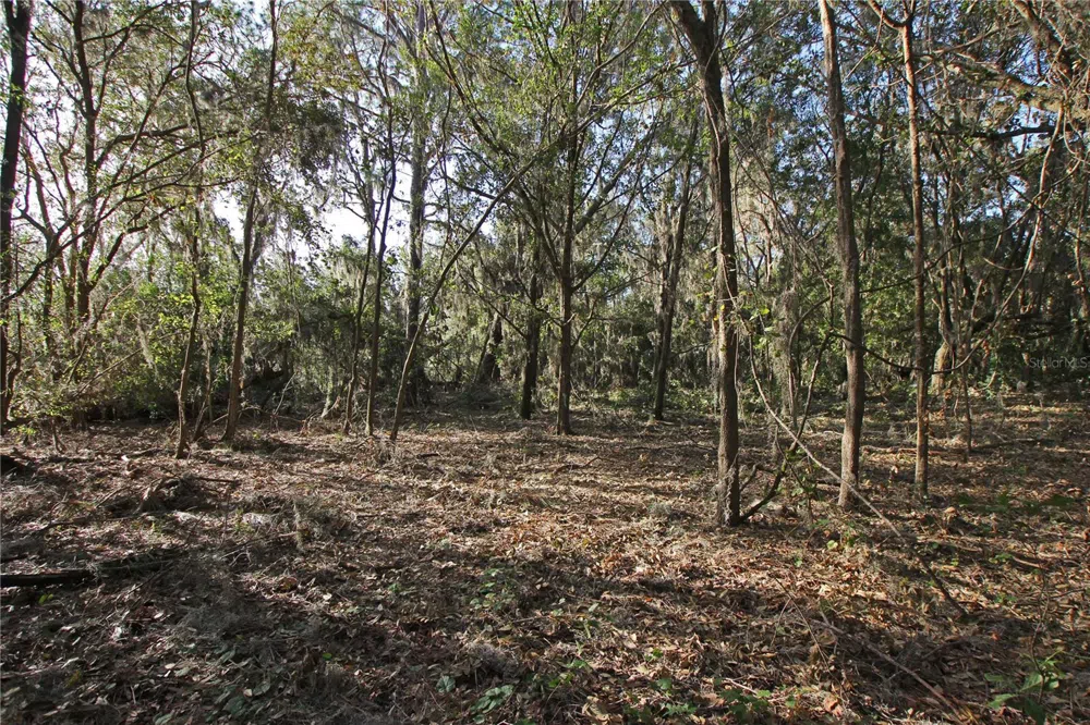 0 PATRICIA DRIVE Bartow, FL 33830