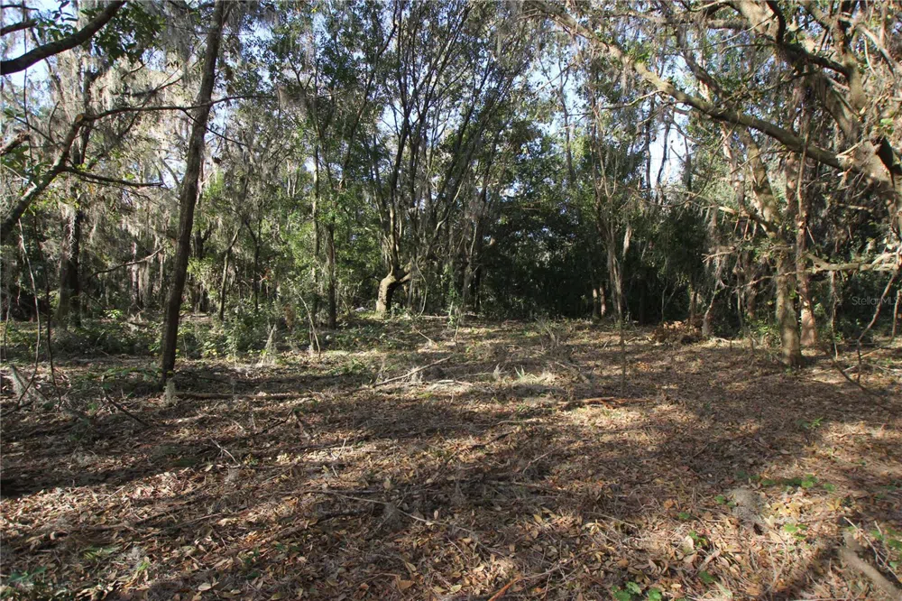 0 PATRICIA DRIVE Bartow, FL 33830
